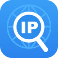IP Search Tool